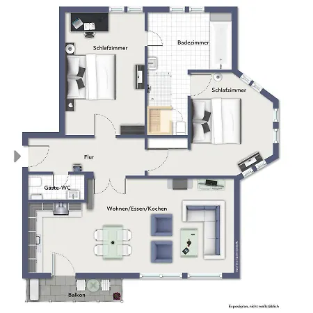 Greif 05 Heiligendamm