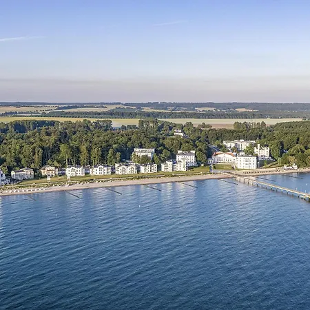 Greif 05 Heiligendamm